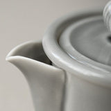 Théière Japonaise en Porcelaine <br> Hohin 150ml