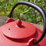 Théière en Fonte du Japon <br> Wazuqu Itome 0.7-1L