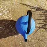 Théière en Fonte Bleue <br> Wazuqu Mayu 550ml