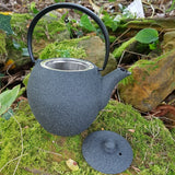 théière en fonte du Japon