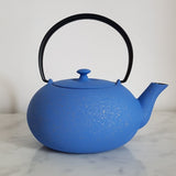 théière en fonte japonaise bleue