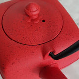 Théière en Fonte Japon <br> Wazuqu Yoho 400 - 800ml