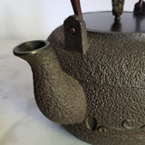 Bouilloire en Fonte Ancienne <br> Paon 1,35L