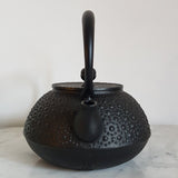 Théière en Fonte Japonaise Noire