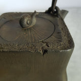 Bouilloire en Fonte <br> Pour Poêle à Bois 550ml