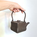 Bouilloire en Fonte <br> Pour Poêle à Bois 550ml