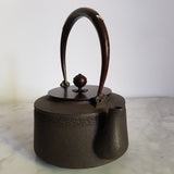 Bouilloire en Fonte Compatible Induction