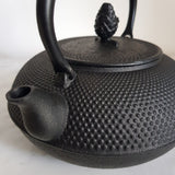 Bouilloire en Fonte <br> Tetsubin Iwachu 1.3L