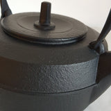 Bouilloire en Fonte Induction <br> Tetsubin Iwachu Baum 1.1L
