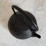 Bouilloire Fonte Tetsubin