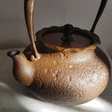 Théière en Fonte <br> Bouilloire Non Émaillée KAKI 1300ml