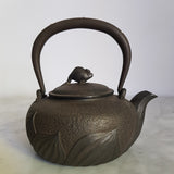 Bouilloire en fonte chinoise