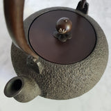 Bouilloire en Fonte <br> Pour Poêle HADA 1,3L