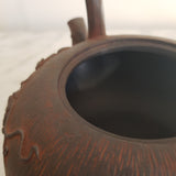 Bouilloire en Fonte Pour Poêle <br> VIGNE 1,3L