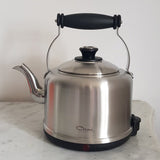 bouilloire électrique 100 inox