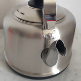 bouilloire électrique inox sans plastique