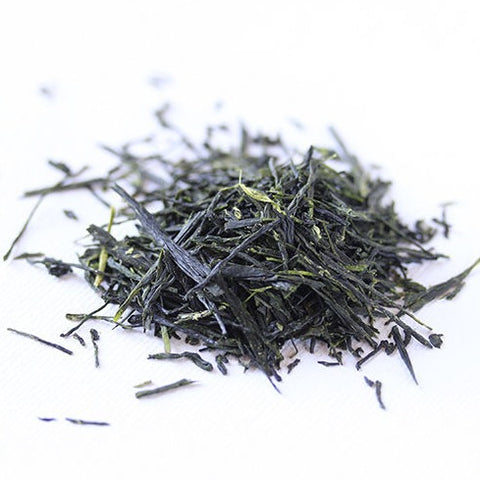 Gyokuro Cueillette main