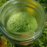 Matcha Yuzu Bio <br> Lyophilisé en Sticks
