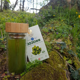 Matcha Japonais Bio <br> Petits Cubes lyophilisés