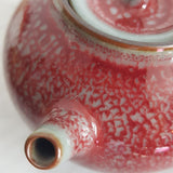 Théière Japonaise <br> Kyusu Porcelaine 185ml