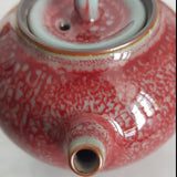Théière Japonaise <br> Kyusu Porcelaine 185ml