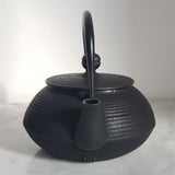 Théière en fonte japonaise Iwachu