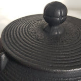 Théière en Fonte Nambu Tekki <br> Iwachu Senbiki 650-900-1200ml