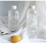 Gourde en verre <br> 1L