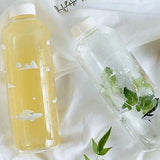 Gourde en verre <br> 1L