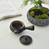 Théière en Céramique <br> Kyusu Japonais 200ml