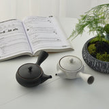 Théière en Céramique <br> Kyusu Japonais 200ml