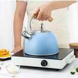 Bouilloire Sifflante Compatible Induction