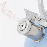 Bouilloire à Sifflet <br> Induction 3L