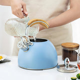 Bouilloire à Sifflet <br> Induction 3L