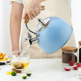 Bouilloire à Sifflet <br> Induction 3L