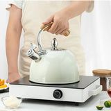 Bouilloire Sifflante Induction