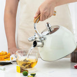 Bouilloire à Sifflet <br> Induction 3L