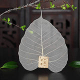 filtre à thé feuille