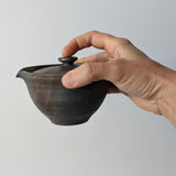 Théière Artisanale Japonaise