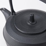 Bouilloire en Fonte Induction <br> Tetsubin Iwachu Baum 1.1L