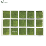 Thé Matcha Japonais Bio