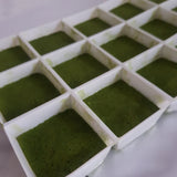 Thé Matcha Japonais Bio <br> Gros Cubes lyophilisés