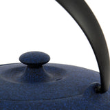 Théière en Fonte Bleue <br> Wazuqu Fuku 550ml