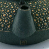 Théière en Fonte Japonaise <br> Iwachu Kikko 900ml