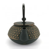 Théière en Fonte Japonaise <br> Iwachu Kikko 900ml