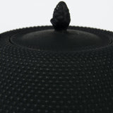 Théière en Fonte Noire <br> Iwachu Nanbu Arare 1L