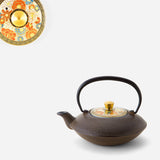 Théière en Fonte Oigen <br> Sai Hanazume 410ml