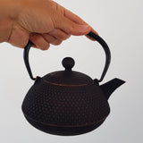 Théière en Fonte du Japon