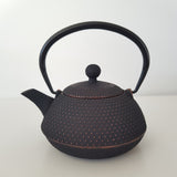 Théière en Fonte Japonaise