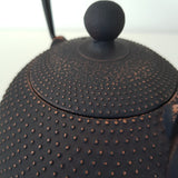 Théière en Fonte Ancienne <br> Oiharu 550ml